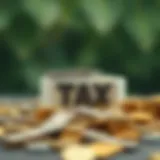 Pre-Tax Contributions Versus Roth Contributions: A Comprehensive Examination Introduction